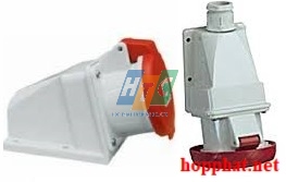 SOCKET WALL BOX 16A 3P 230V IP44 6H